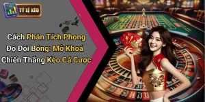 Cách Phân Tích Phong Độ Đội Bóng