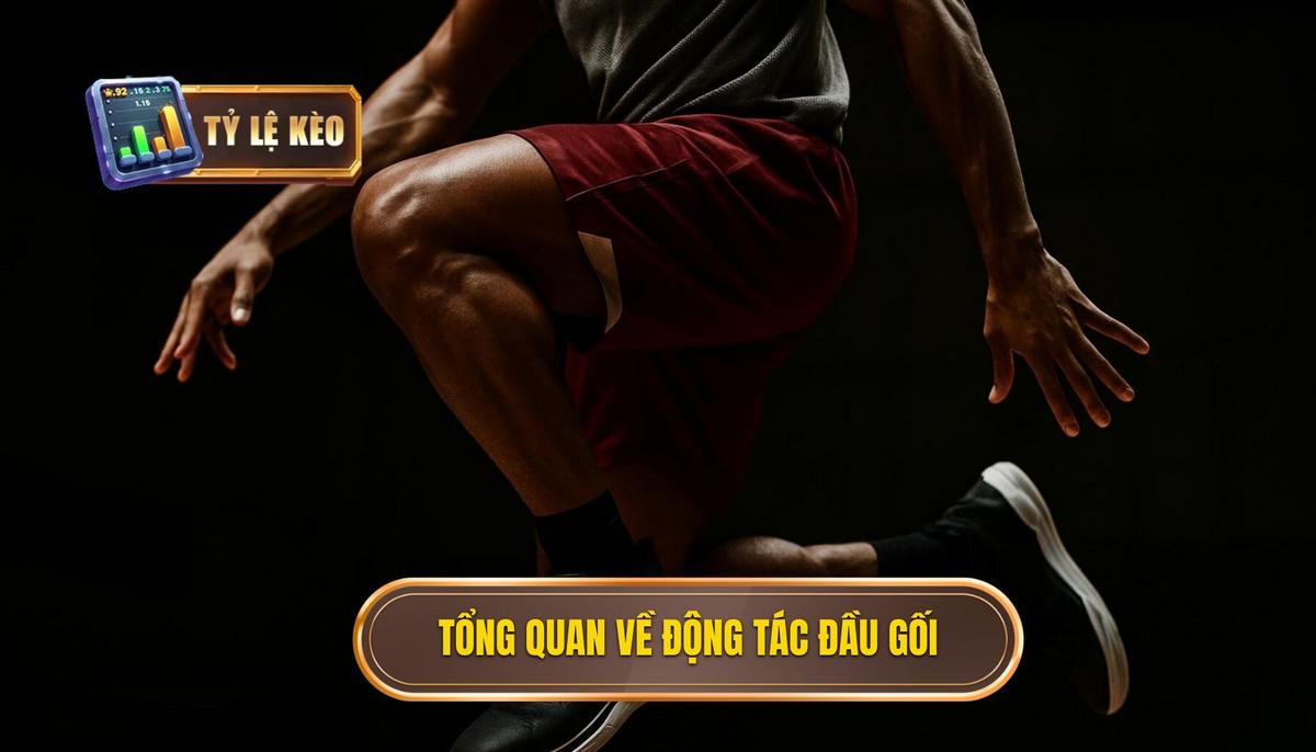 Giới Thiệu Tổng quan về Động tác Đầu gối